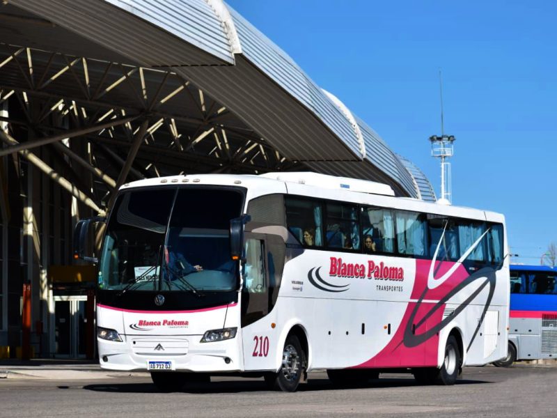 San-Luis-Blanca-Paloma-210-1.jpg