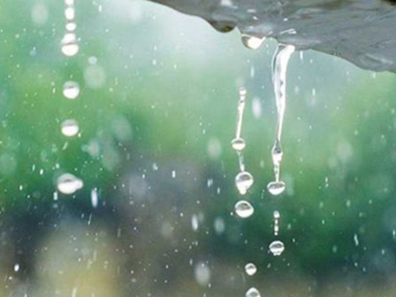 Lluvia-alero-650x411-2-1.jpg