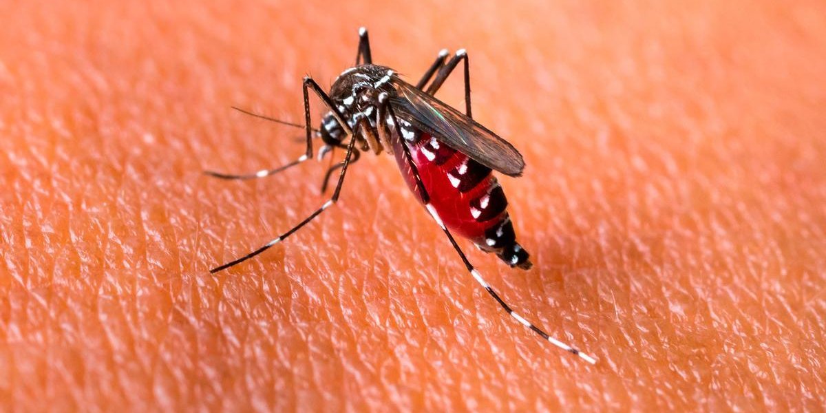 dengue-19-abril.ddd_.jpg