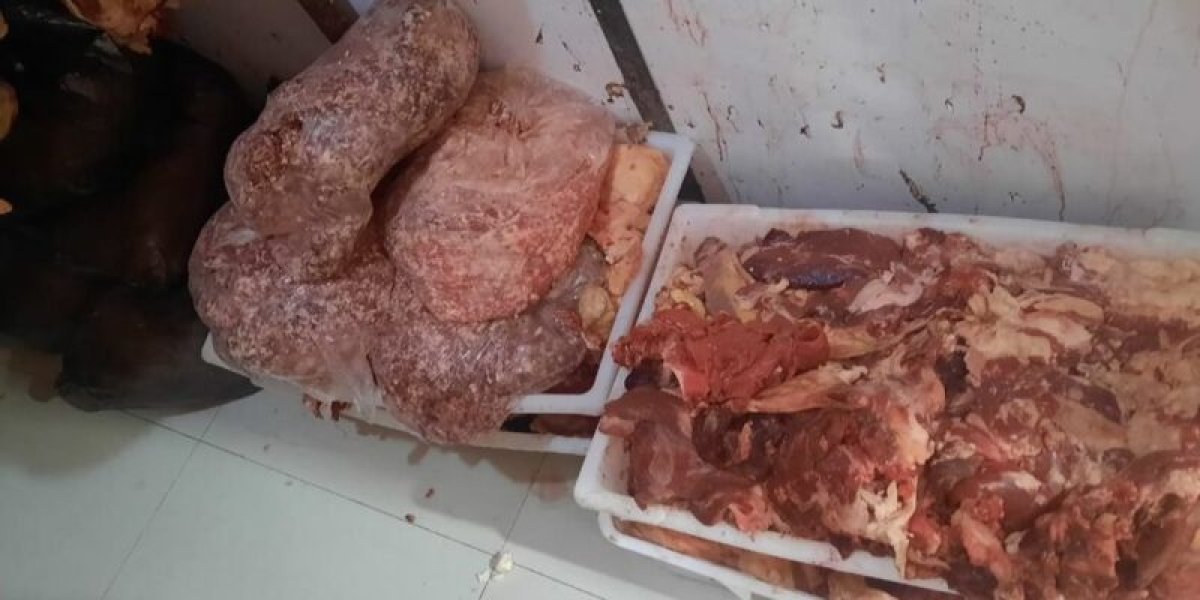 carne-mal-estado-800x400.jpg