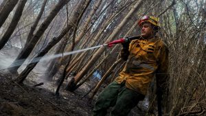 WhatsApp-Image-2024-02-06-at-8.25.37-PM-1.jpeg