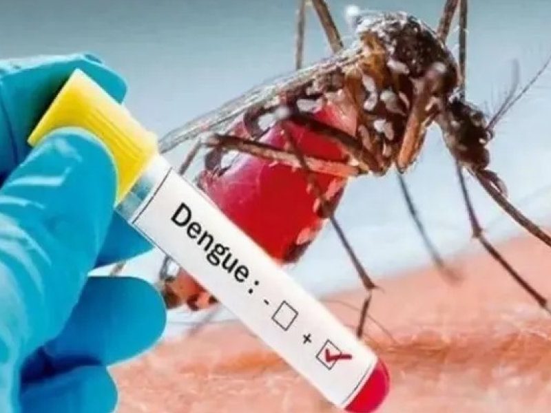 DENGUE.jpg