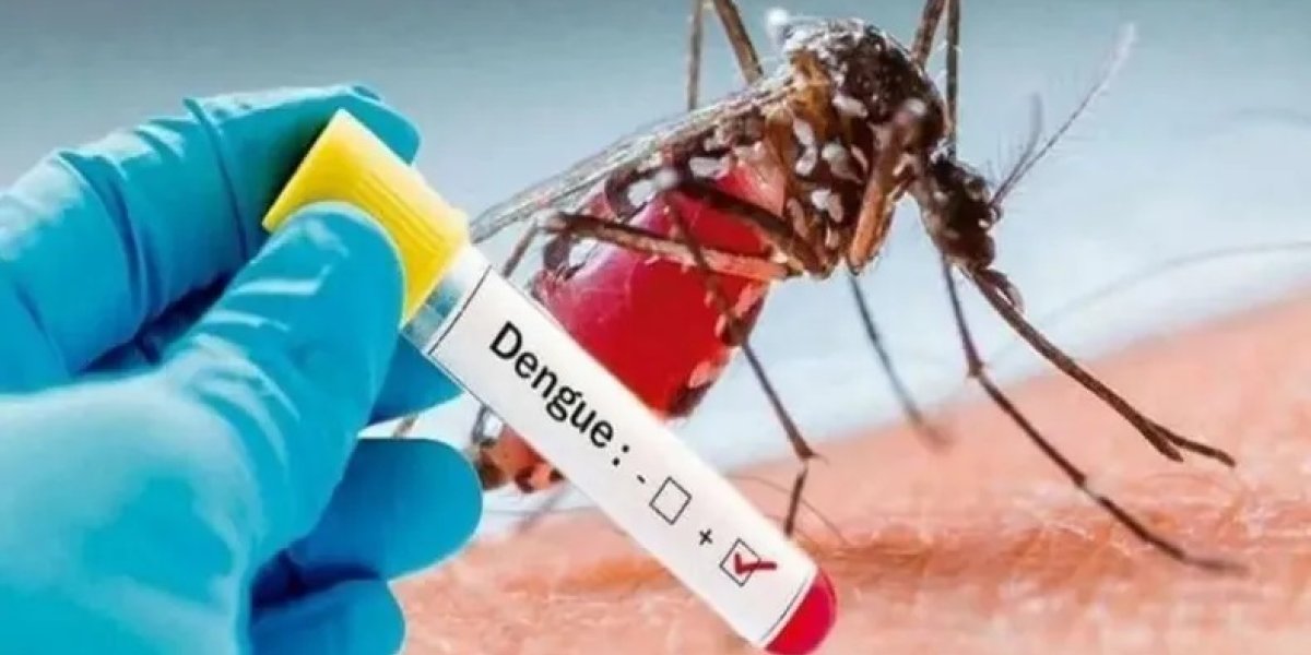 DENGUE.jpg