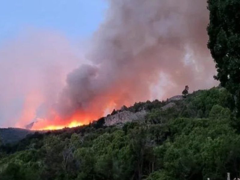 el-incendio-en-el-parque-los-alerces-en-chubut-no-da-tregua-1745623.jpg