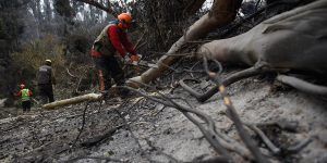 65c3eb3e5e820.02.2024 foto afp_1200.jpg