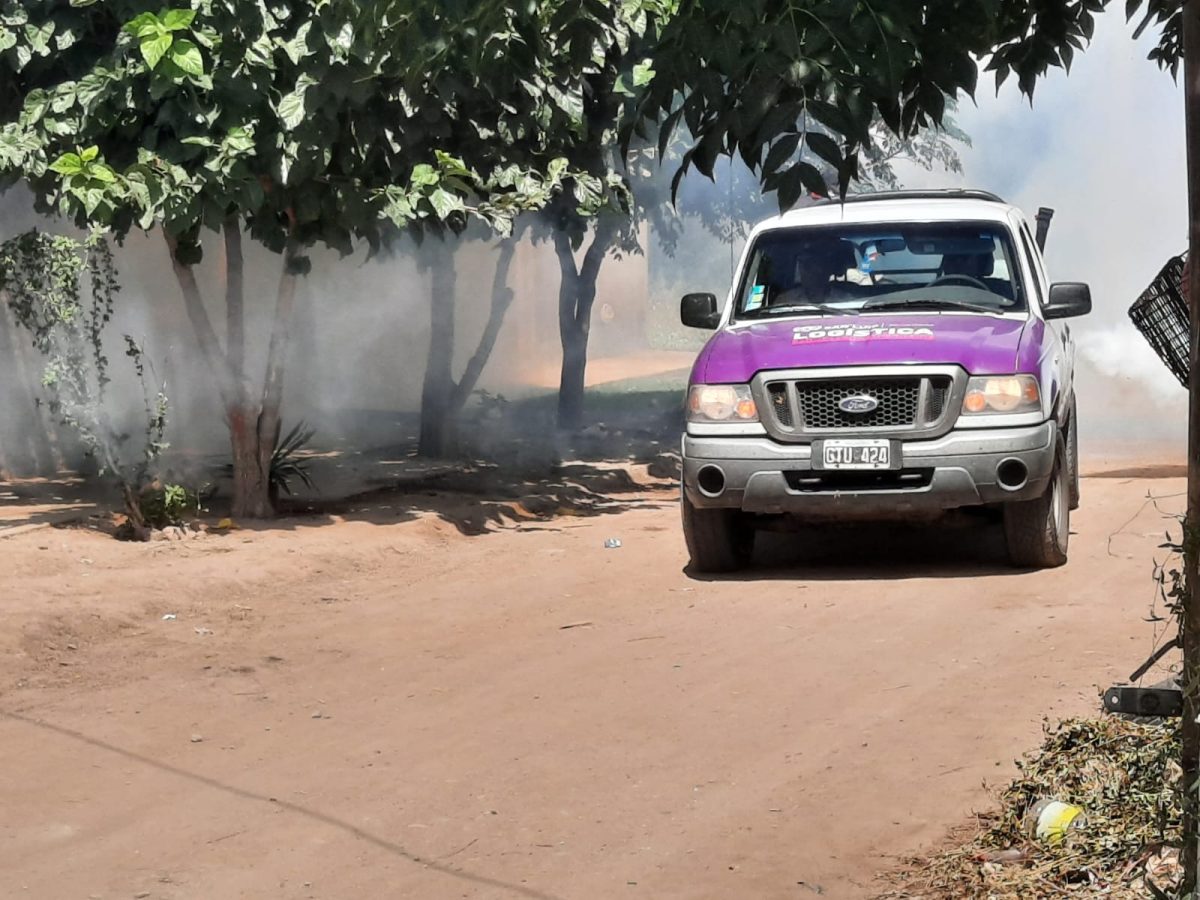 fumigacion-en-quines-3.jpg