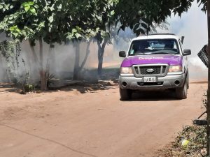 fumigacion-en-quines-3.jpg