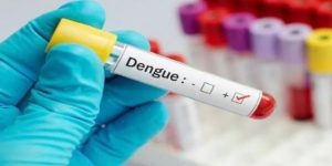 dengue.jpg