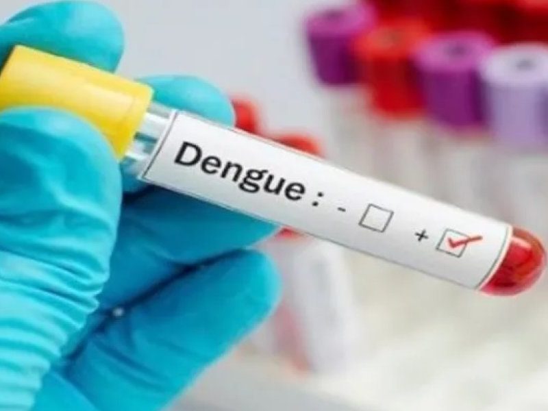 dengue.jpg