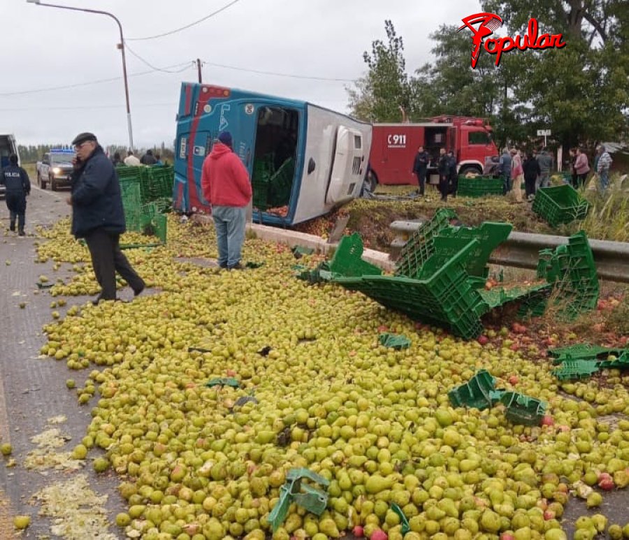 camion.jpg