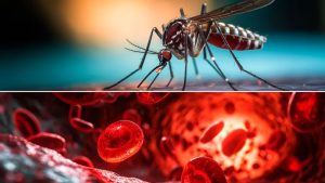 MOSQUITO.jpg