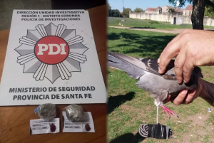 Captura de pantalla 2024-04-24 124332.png