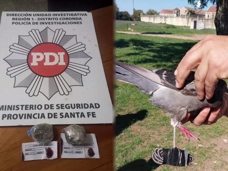 Captura de pantalla 2024-04-24 124332.png