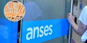 ANSES.jpg
