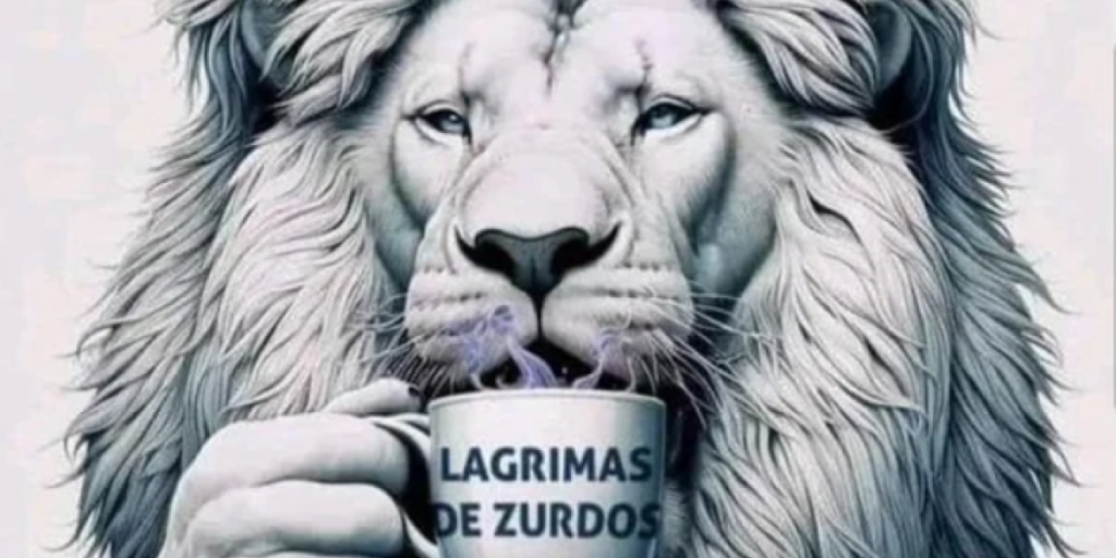 Captura de pantalla 2024-04-24 095814.png