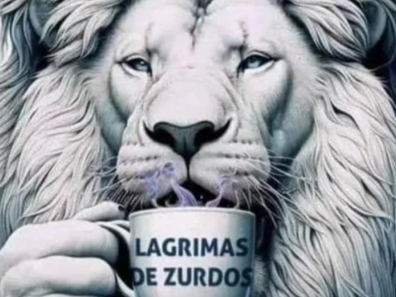 Captura de pantalla 2024-04-24 095814.png
