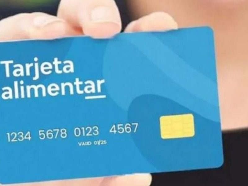 Tarjeta alimentar.JPG