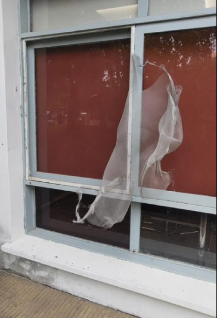 mosquitero roto.png