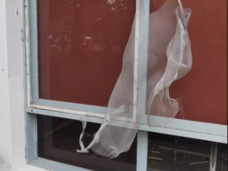 mosquitero roto.png