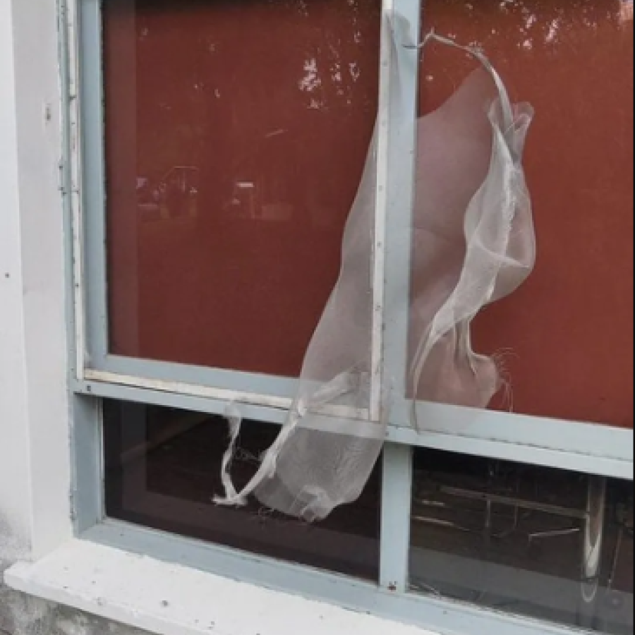 mosquitero roto.png