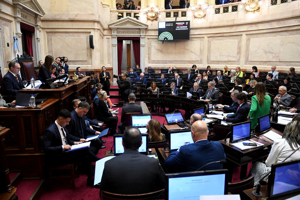 senadores.jpeg