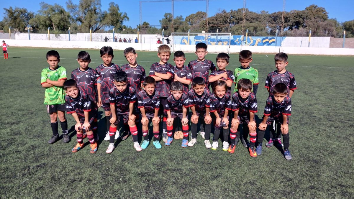 infantiles corazon de bufalo.jpeg