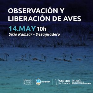 Observacion-liberacion-desaguadero-aves-1.jpg