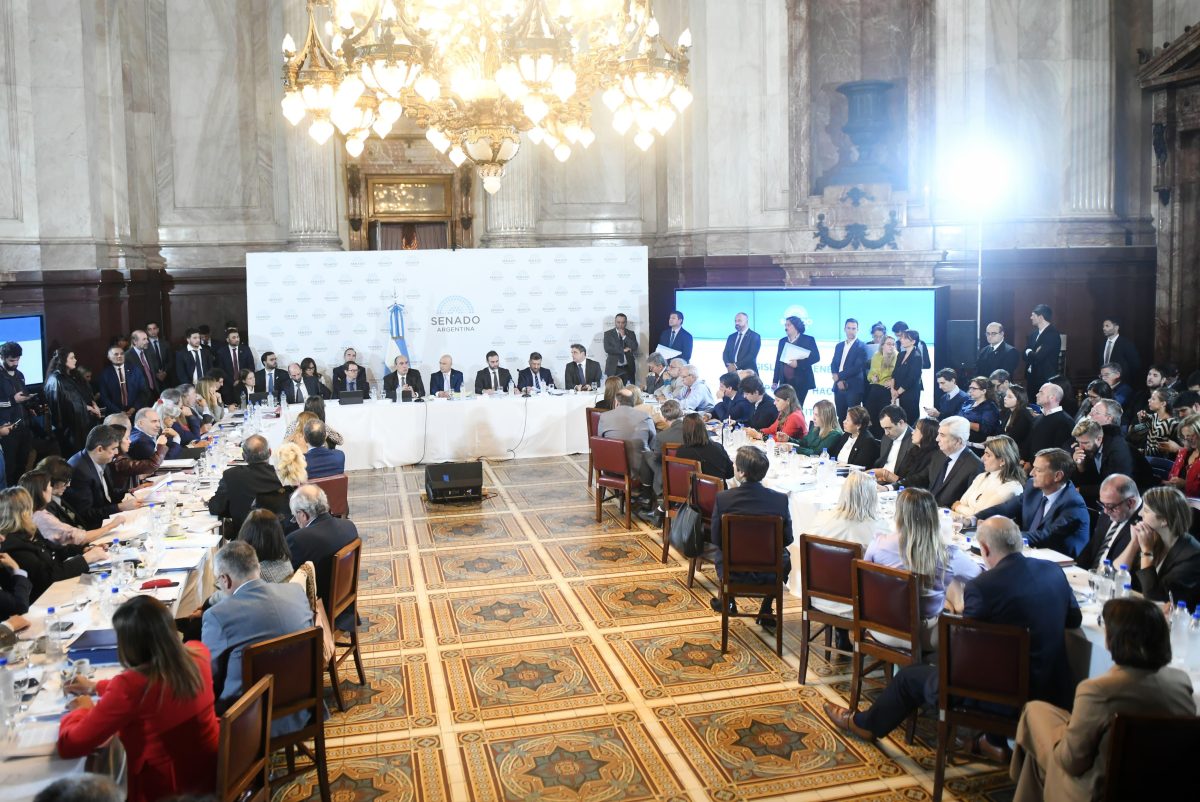 guillermo-francos-ley-bases-senado-nacion-senadores-3.jpeg