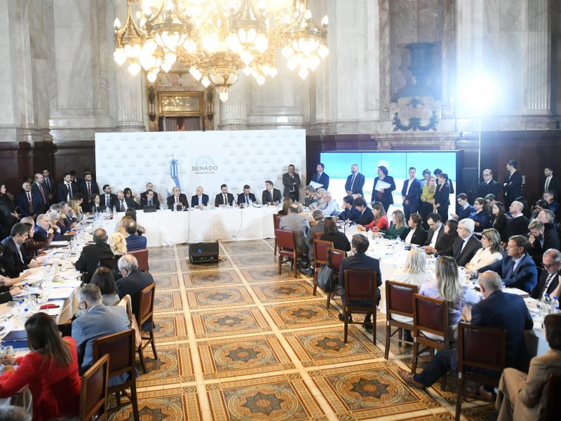 guillermo-francos-ley-bases-senado-nacion-senadores-3.jpeg