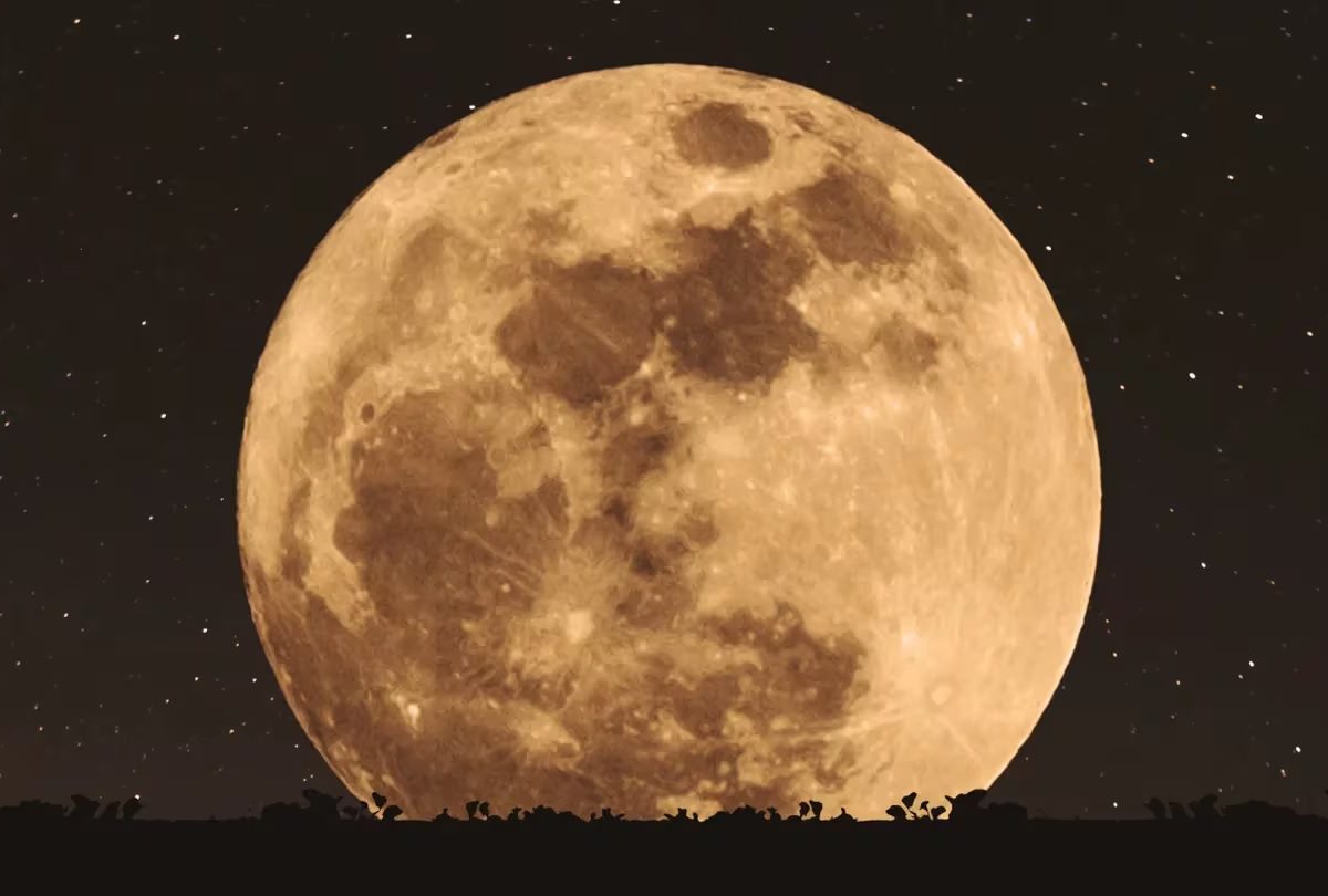 LUNA LLENA.jpg