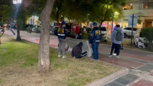 DETENIDO PLAZA PRINGLES.png