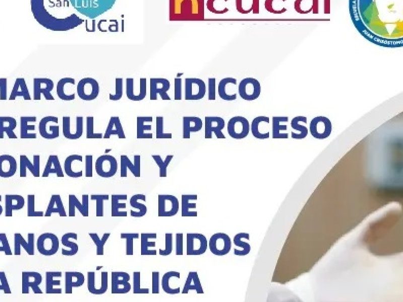 TRASPLANTES.jpg