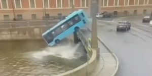 COLECTIVO.jpg
