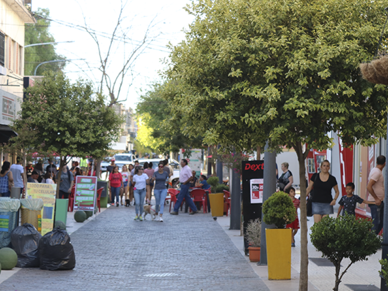 peatonal san luis 2.png