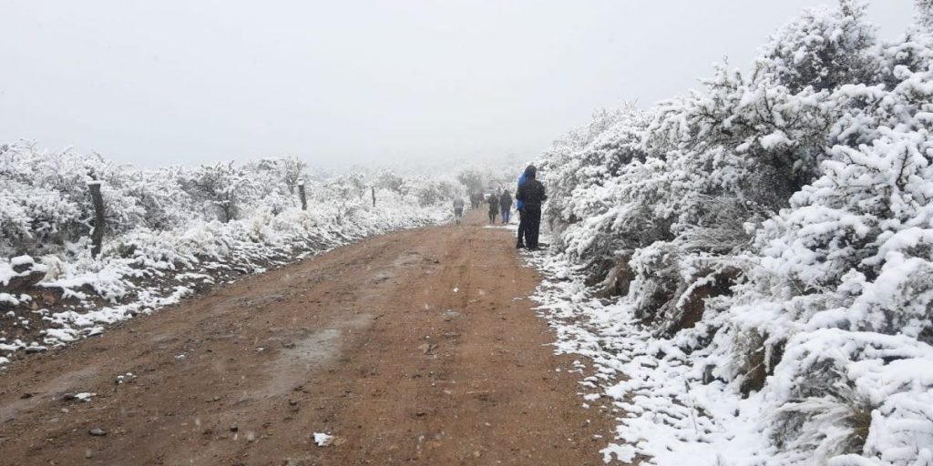 NIEVE MERLO.jpg