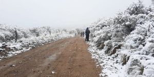NIEVE MERLO.jpg