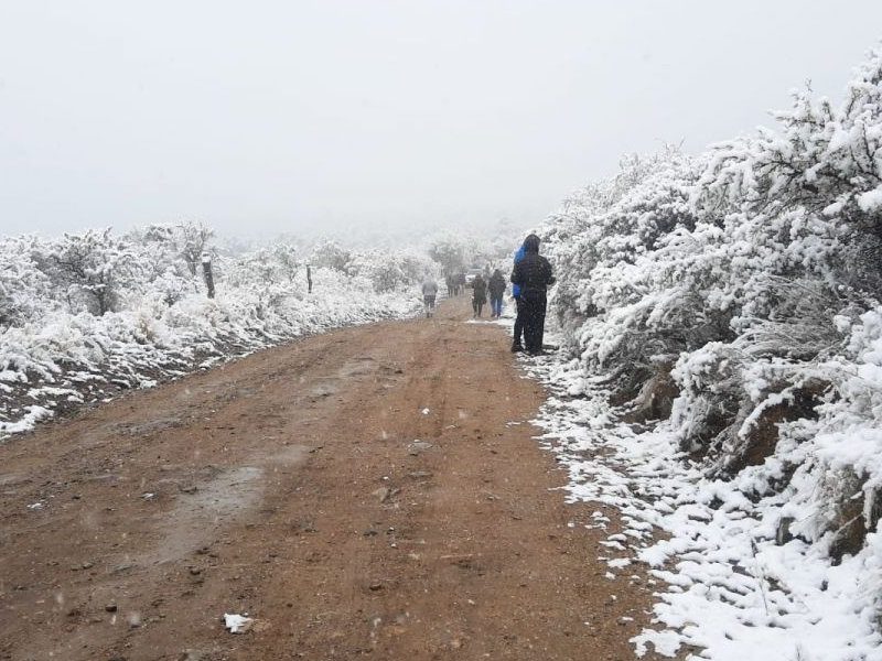 NIEVE MERLO.jpg