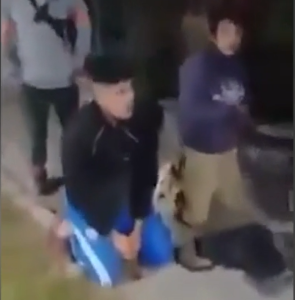 ladrones arroz con leche.png