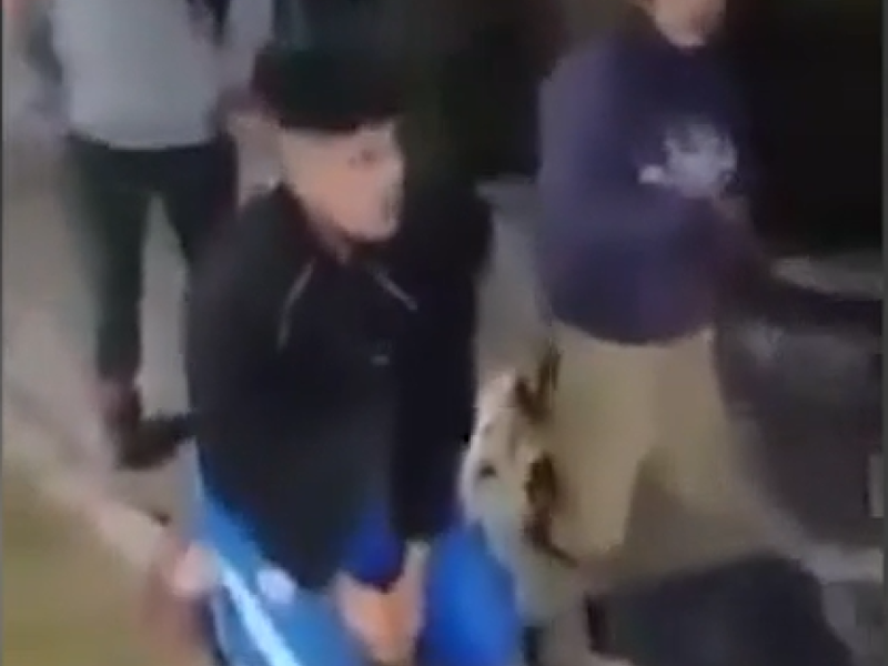 ladrones arroz con leche.png