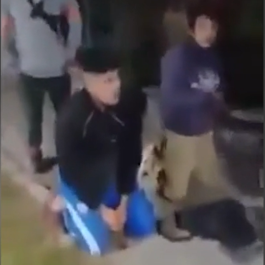 ladrones arroz con leche.png