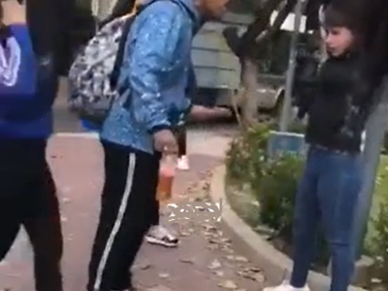 PAPA PELEA.png