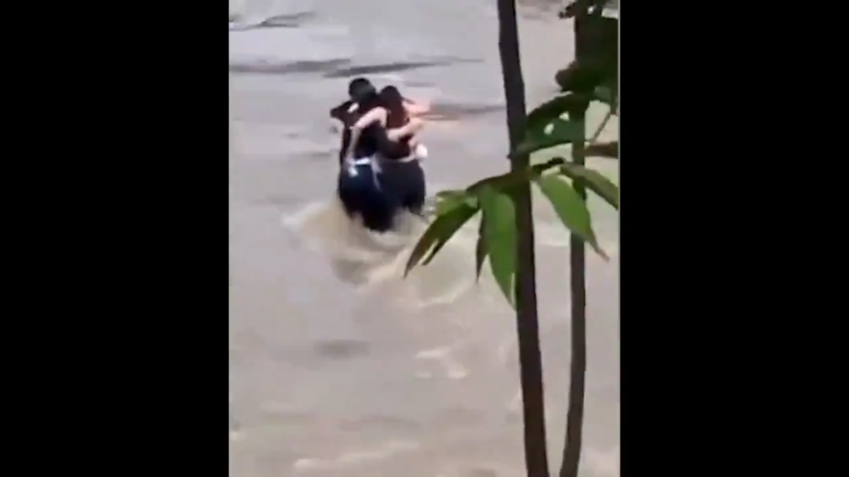 videoframe_7754.png