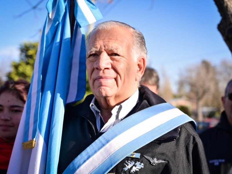 cortaderas malvinas.jpeg