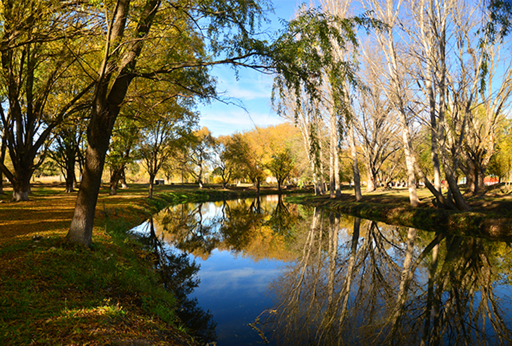 DSC_0749.jpg