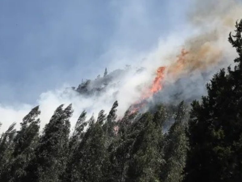 INCENDIO.jpg
