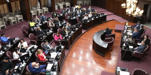 diputados provincial.png