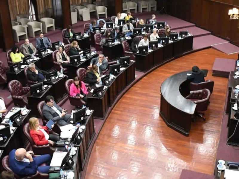 diputados provincial.png