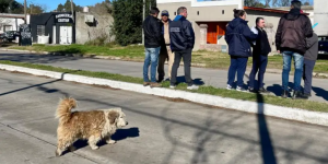 perros sierra chica.png