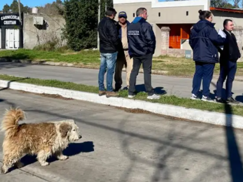 perros sierra chica.png