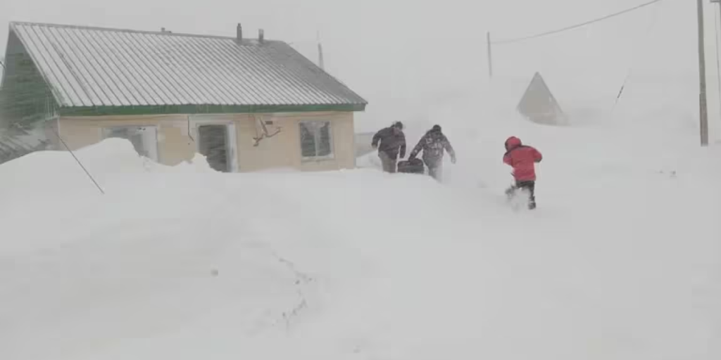 nieve patagonia 2.png